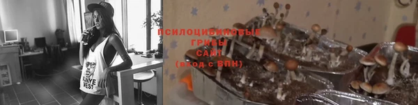 гидропоника Балахна