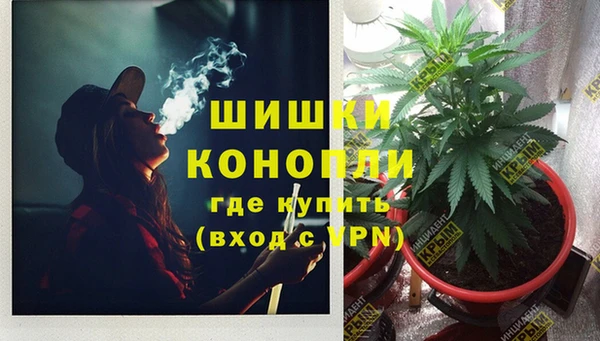 гидропоника Балахна