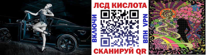 закладки  Суворов  Марки NBOMe 1,8мг 