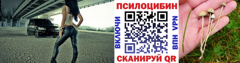 Псилоцибиновые грибы мицелий  магазин продажи наркотиков  Суворов 